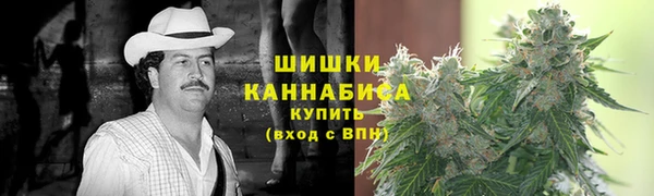 сатива Абаза