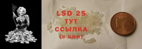 амф Липки