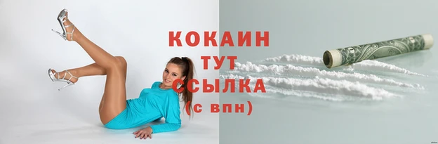 амф Липки