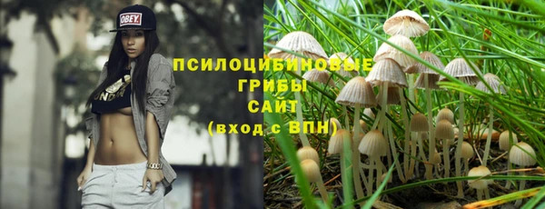 PSILOCYBIN Верхний Тагил