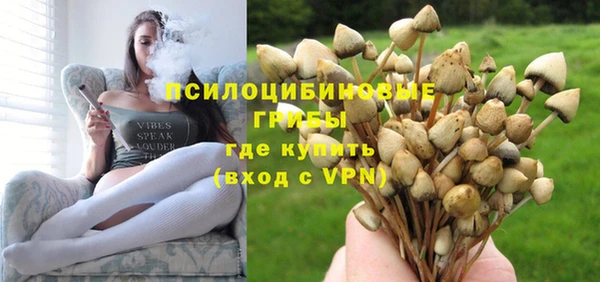 амф Липки