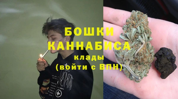 амф Липки