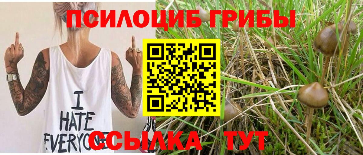 Псилоцибиновые грибы прущие грибы  Вход с VPN  цены наркотик  Вичуга 