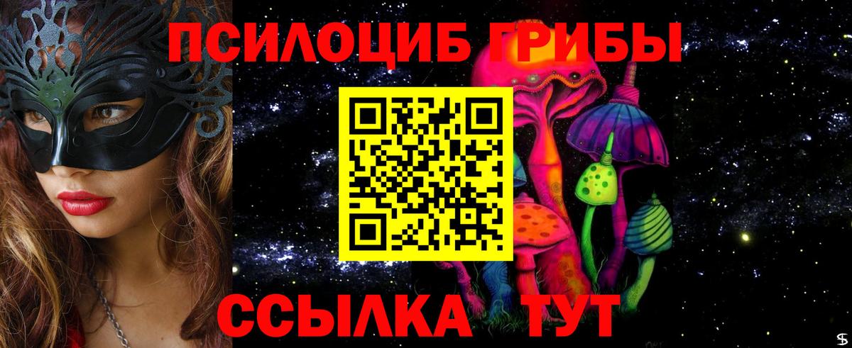 Галлюциногенные грибы Psilocybe Вичуга