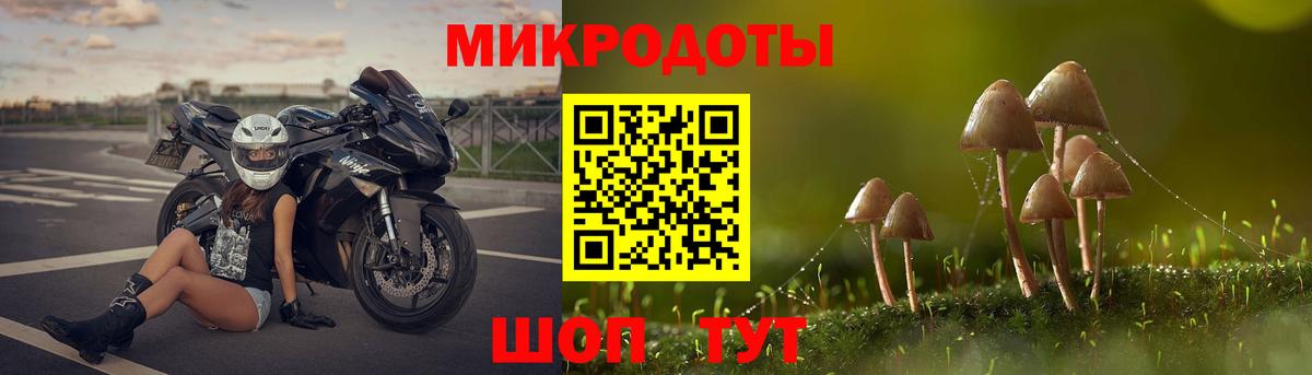 Галлюциногенные грибы MAGIC MUSHROOMS Вичуга