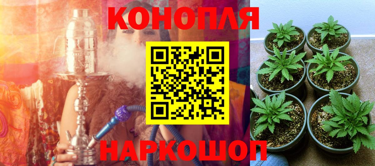 ГАШИШ Вичуга